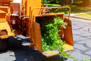 Tree Removal & Stump Grinding